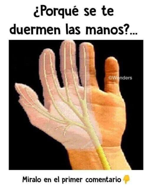 ¿Porqué se te duermen las manos?